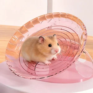 Hamster Exercise Wheel Multifunctional Hamster Toy Cage Accessories for Hedgehog Mice Rat Gerbil Small Animals Supplies