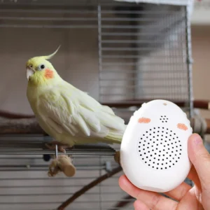 Bird Learning Machine Portable Teach Talking Singing Parrot Toy Bird Toy Parrot Talking Coach for African Grey Cockatiel Mynah