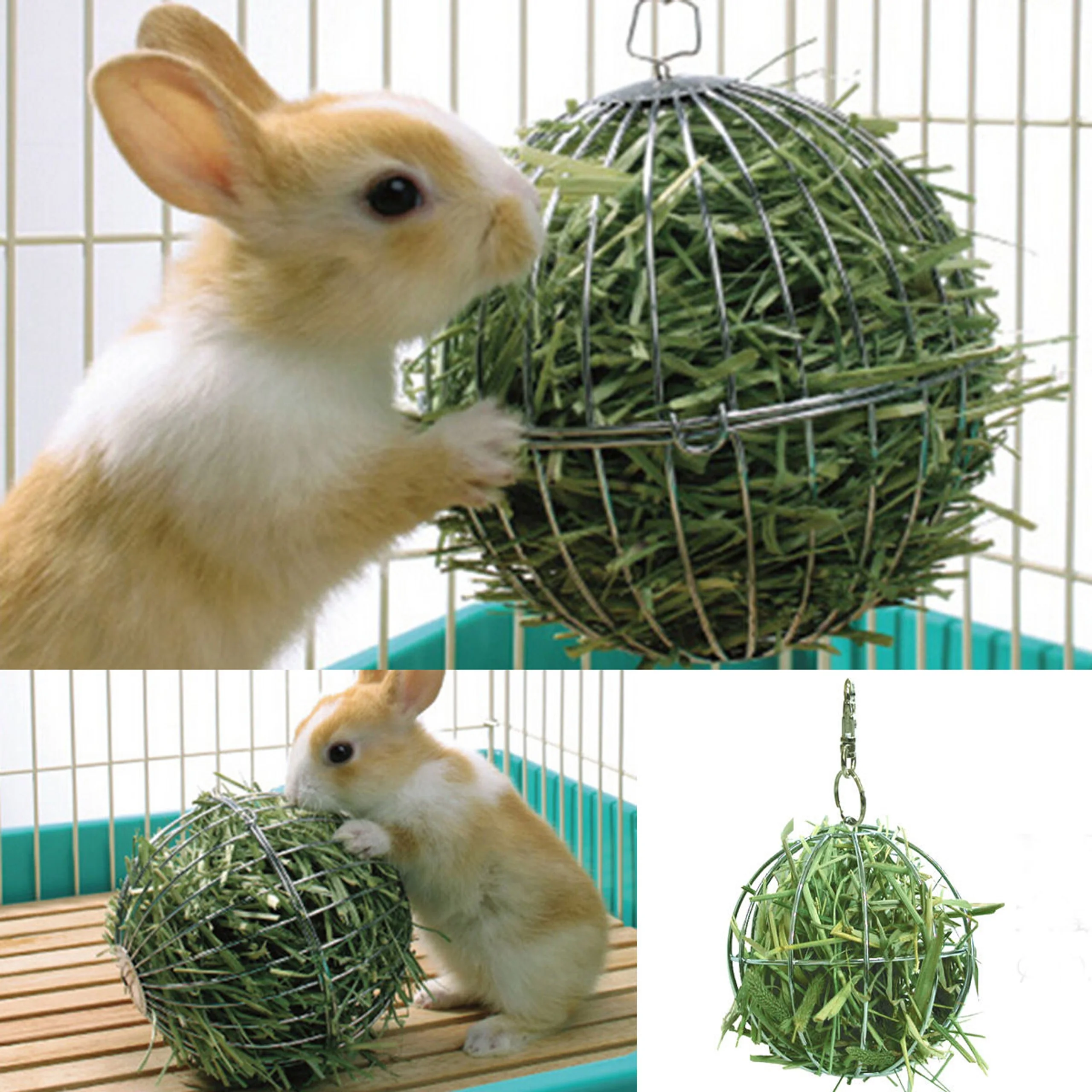 Stainless Steel/Plastic Round Sphere Feed Dispense Exercise Hanging Hay Ball Guinea Pig Hamster Rabbit Pet Toy Pet-Keeping 1Pc - Image 2