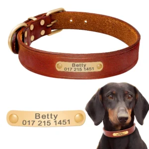 Personalized Dog Collars Leather Customized ID Name Collars for Dog Adjustable Engrave for Small Medium Large Dogs Pets Pug XS