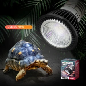Reptile 110/220V UVB+UVA Light Energy-Saving Eye Protection Led Lamp Pro Turtle Lizard Mane Lion Ultraviolet Calcium Lamp Sun