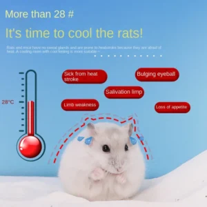 Hamster Ice House - Summer Cooling Shelter w/Vents for Syrian & Dwarf, Chew-Proof Sleep Den with 12hr Chill Retention (BPA-Free)