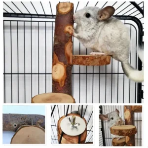 Eco-friendly Chinchilla Stand Bird Toy Bird Perch Stand Multi-use Bite Resistant Bird Perch Stand Playground Toy