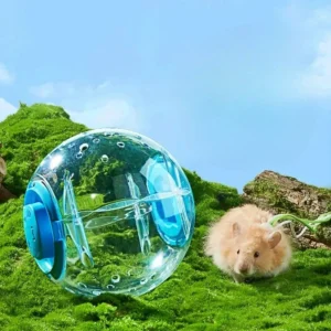 Hamster Running Ball Toy Transparent Strap Running Wheel Roller Sports Ball Golden Bear Mouse Slider Pet Supplies