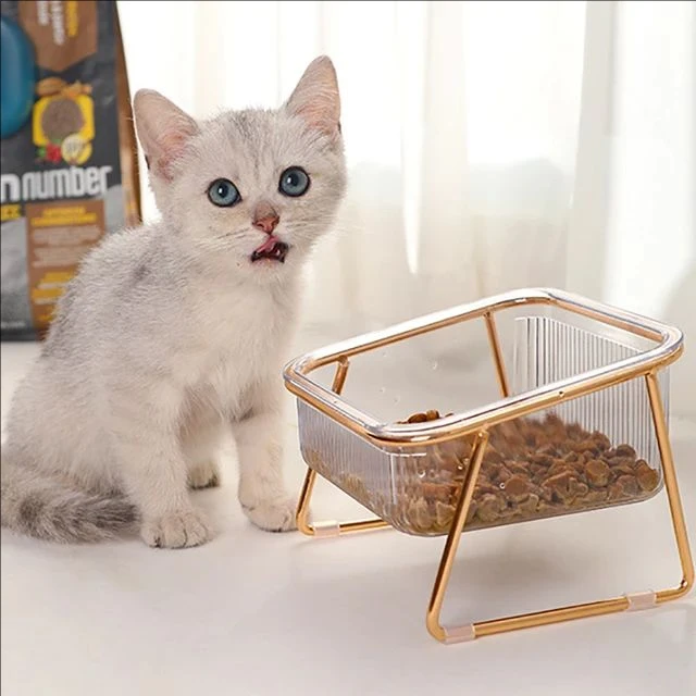 Cat Double Bowl New with Stand Pet Kitten Puppy Transparent Food Feeding Dish Metal Elevated Water Feeder Dog cats Bowl Supplies - Image 8