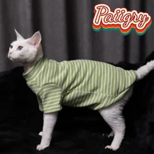 Three-color striped two-legged cat short sleeves, summer home clothes Devon cat, pet clothing, anti-shedding clothes feign