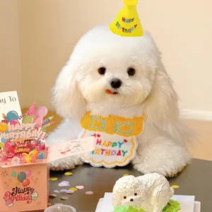 Cat Dog Birthday Bib and Party Hat Mini Doggy Cat Adjustable Bandana Scarf Pet Birthday Outfit Puppy Supplies