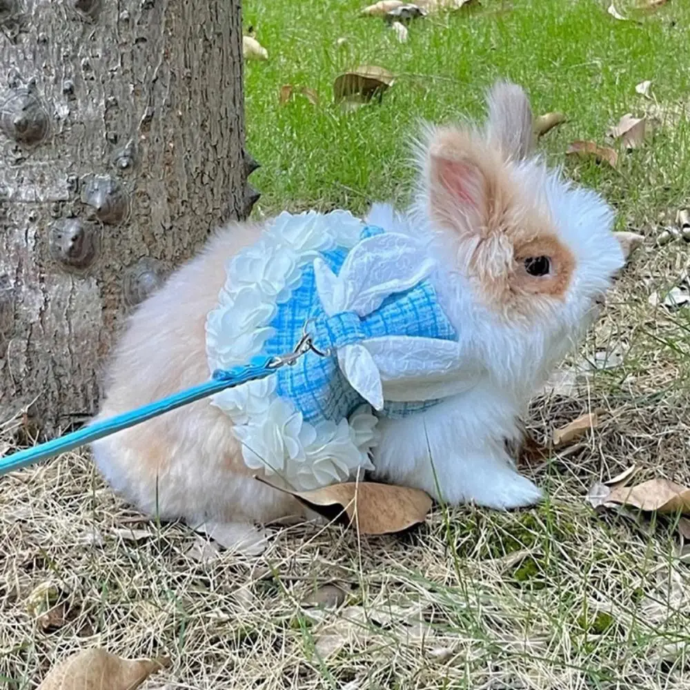 Fashion Adjustable Rabbit Outdoor Harness Comfortable Plaid Pet Traction Suit Breathable Rabbit Sleeveless Dress Small Animals - Image 3