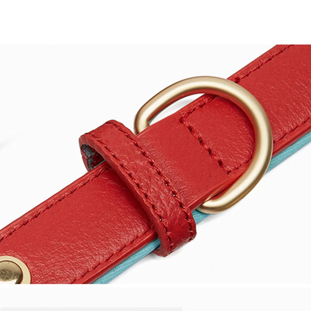 Leather Dog Collar Big Small Dog Soft Padded Collar Adjustable Pet Products for Dog Accessories Dachshund Pitbull Bulldog Collar - Image 5