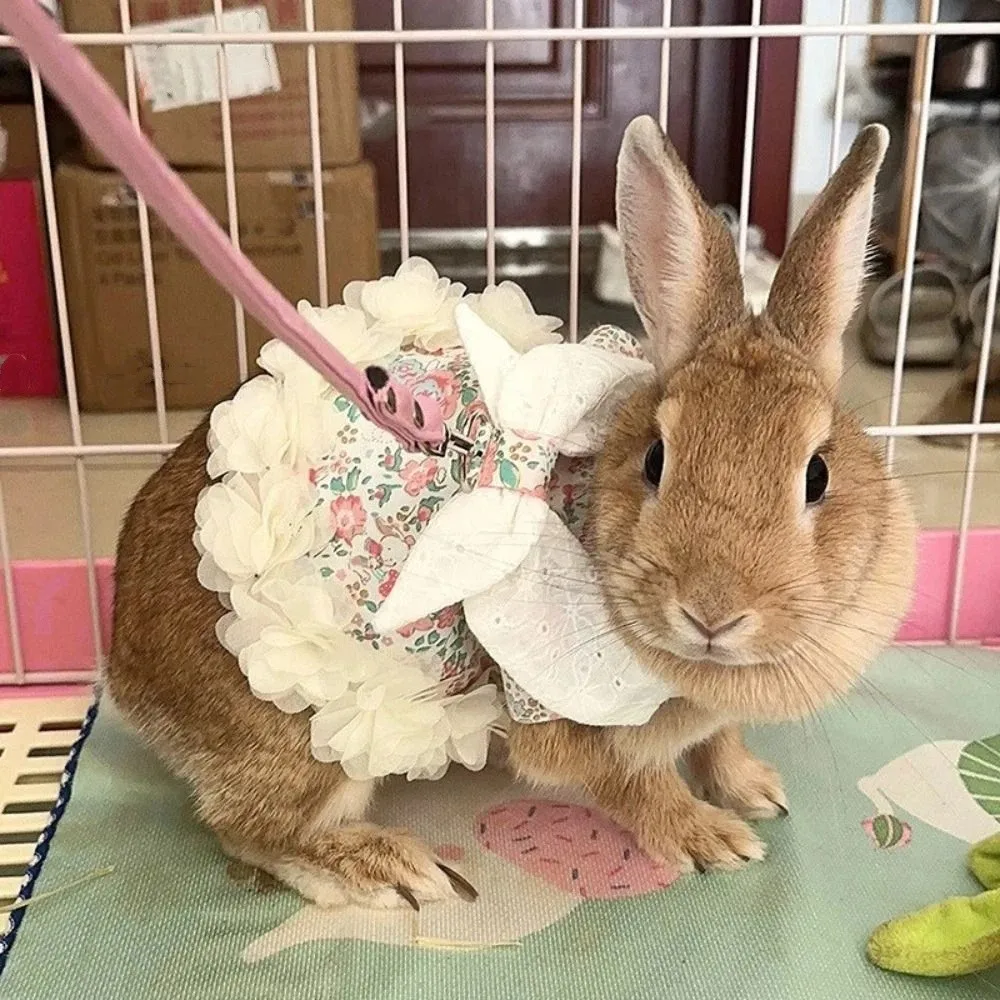 Fashion Adjustable Rabbit Outdoor Harness Comfortable Plaid Pet Traction Suit Breathable Rabbit Sleeveless Dress Small Animals - Image 4