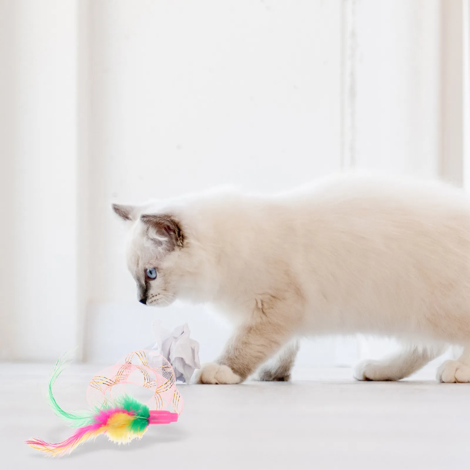 10Pcs Feather Cat Spring Plastic Spring Cat Play Set Bright Color Exercise Supplies Random Color Healthy Fun Gift - Image 3