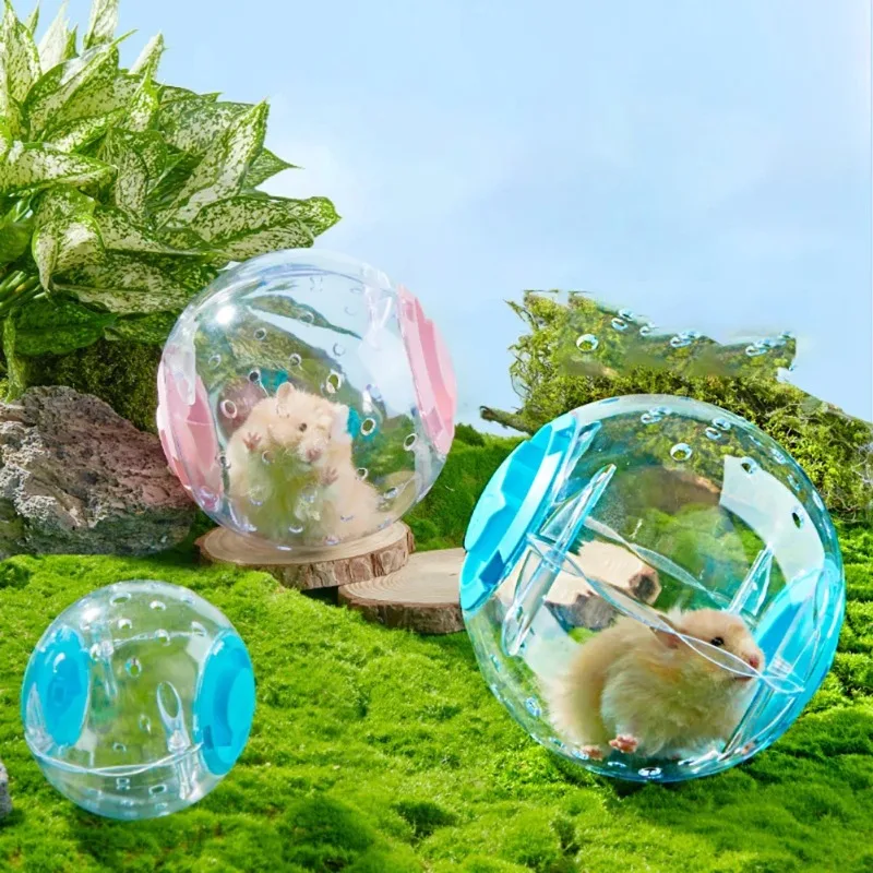 Hamster Running Ball Toy Transparent Strap Running Wheel Roller Sports Ball Golden Bear Mouse Slider Pet Supplies - Image 3