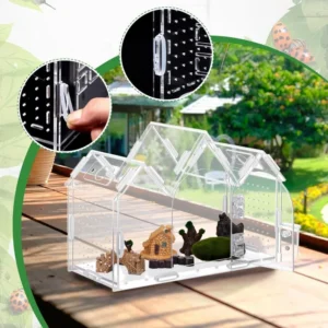 Reptile Terrarium Acrylic Anti-escape Insect Breeding Box Ventilate Jumping Spider Mantis Breeding Cage Reptile Display Box