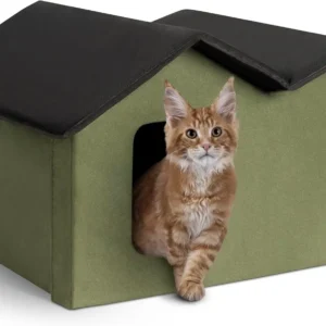 Extra-Wide Heated Outdoor Cat House with 2 Escape Doors, Insulated Weatherproof Shelter and Waterproof Heated Bed - Olive