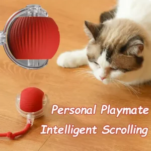 Interactive Self-Play Cat Toys, Automatic Teaser Ball and Rotating Stick, Hands-Free Fun for Kittens
