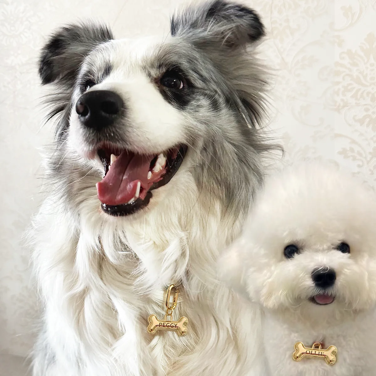 Memopaw Design Personalized Pet Dog Name Tag Copper Free Engraving Anti-lost Collars Tag for Dogs Cats Nameplate - Image 2