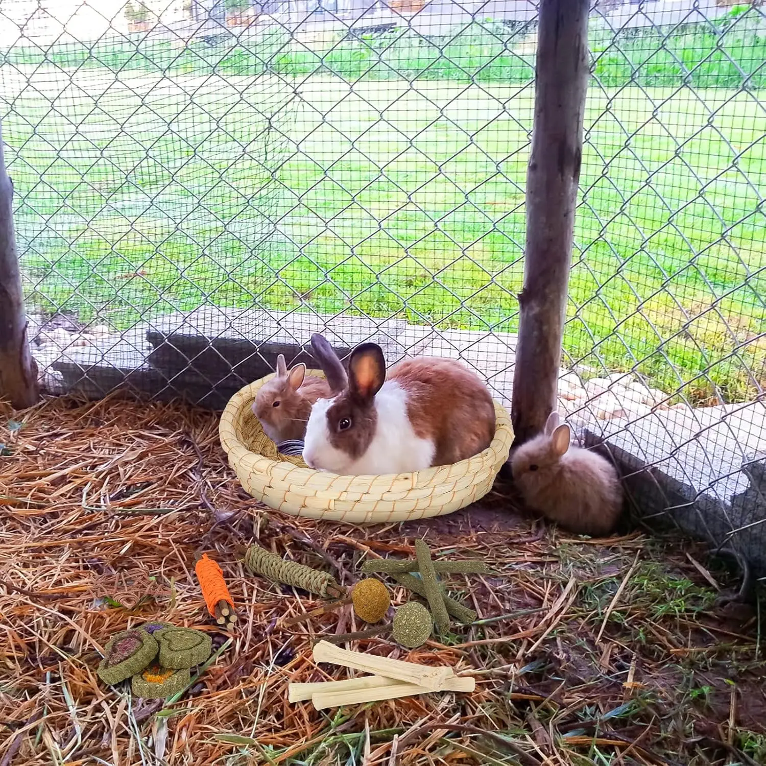 Rabbit Toys Chew Treats Guinea Pig Bed, Bunny Chew Toys Timothy Hay Bamboo Chew Sticks, Grass Ball Carrot Corn Lollipop - Image 4