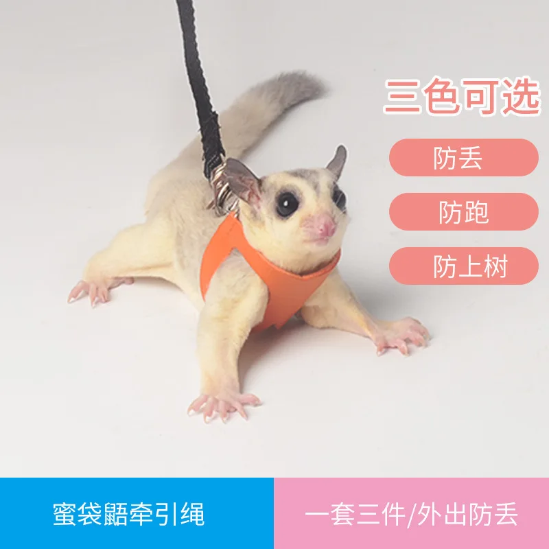 4 Pcs /set Sugar Quoll Harness + Leash Set Escape-Proof Adjustable Collar for Pet Small Animals Hamsters Sugar Gliders Squirrels