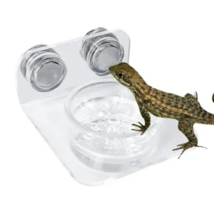 Magnetic Reptile Feeding Ledge Suction Cup Food Tray Gecko Reptile Feeding Station for Lizards Chameleons Terrarium Bowls