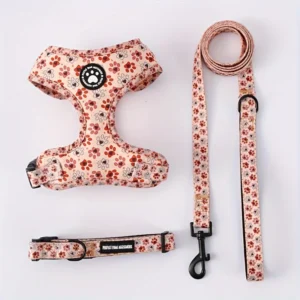 Breathable Adjustable Knit Fabric Dog Harness and Leash Set-All-Season Chest Vest with Press Buckle-for Small,Medium,Large Breed