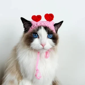 Crochet Peach Heart Cat Hat or small dog Crochet eggplant Hat Pattern for Cats and Dogs cat clothing cat accessories