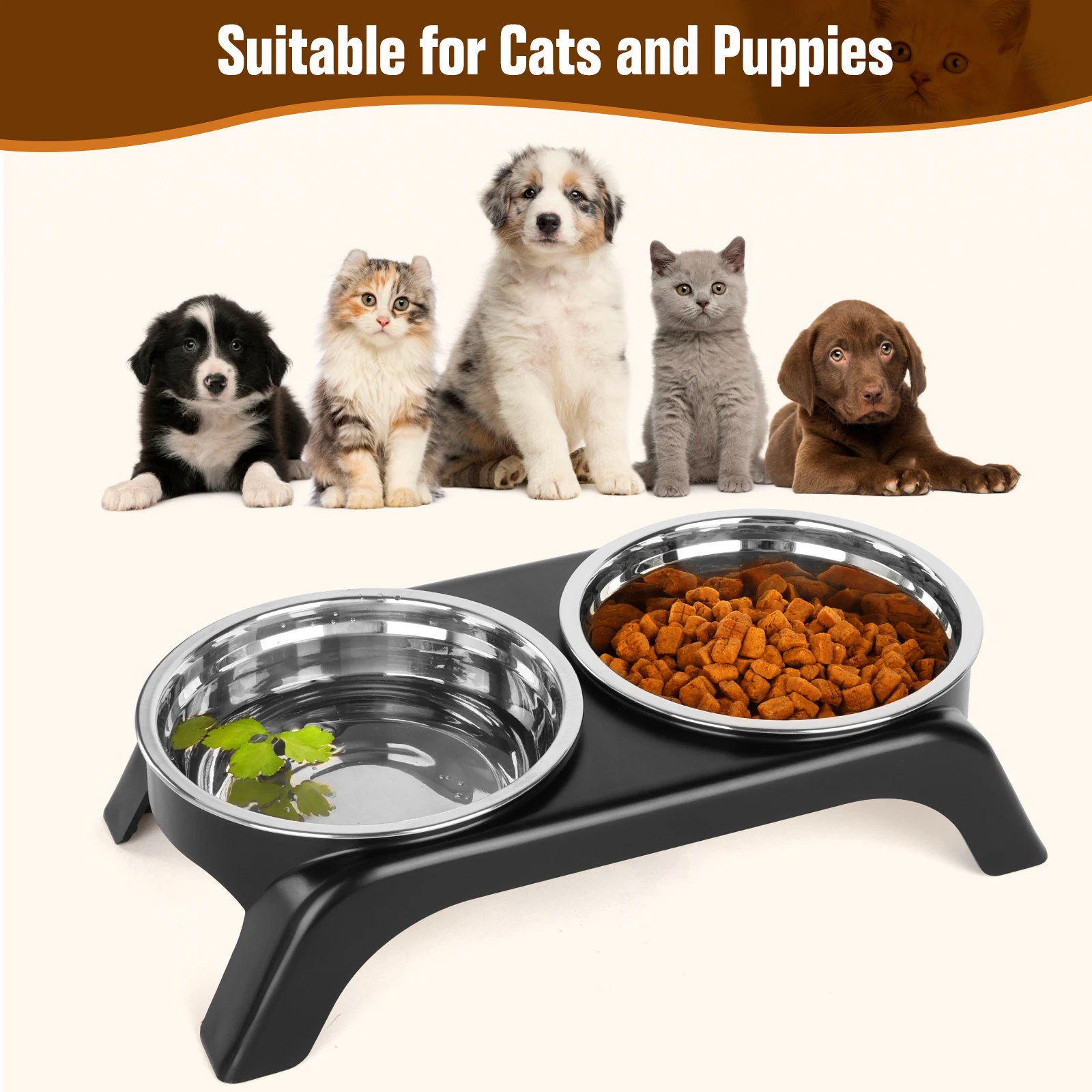 Elevated Cat Bowls, Dog Bowl,Stainless Steel Raised Cat Food Water Bowl Set with ABS Anti Slip Stand for Indoor Cats - Image 6