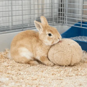 Bite Resistant Rabbit Soothing Ball Simulated Rabbit Buttocks Rabbit Calming Ball Comfortable Soft Pet Chewable Ball