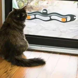 New Track Cat Toy Plastic Sucker Track Ball Pet Accessories Window Table Tennis Adsorption Glass Cat Toy Funny Cat Toys Pet Toys