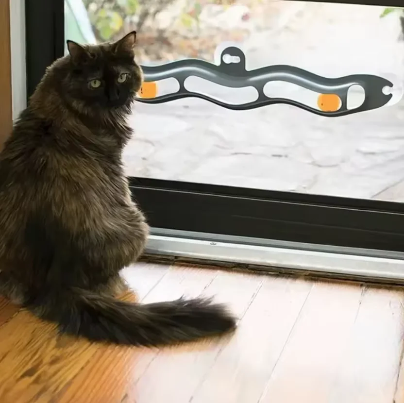 New Track Cat Toy Plastic Sucker Track Ball Pet Accessories Window Table Tennis Adsorption Glass Cat Toy Funny Cat Toys Pet Toys
