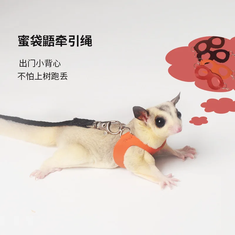 4 Pcs /set Sugar Quoll Harness + Leash Set Escape-Proof Adjustable Collar for Pet Small Animals Hamsters Sugar Gliders Squirrels - Image 2