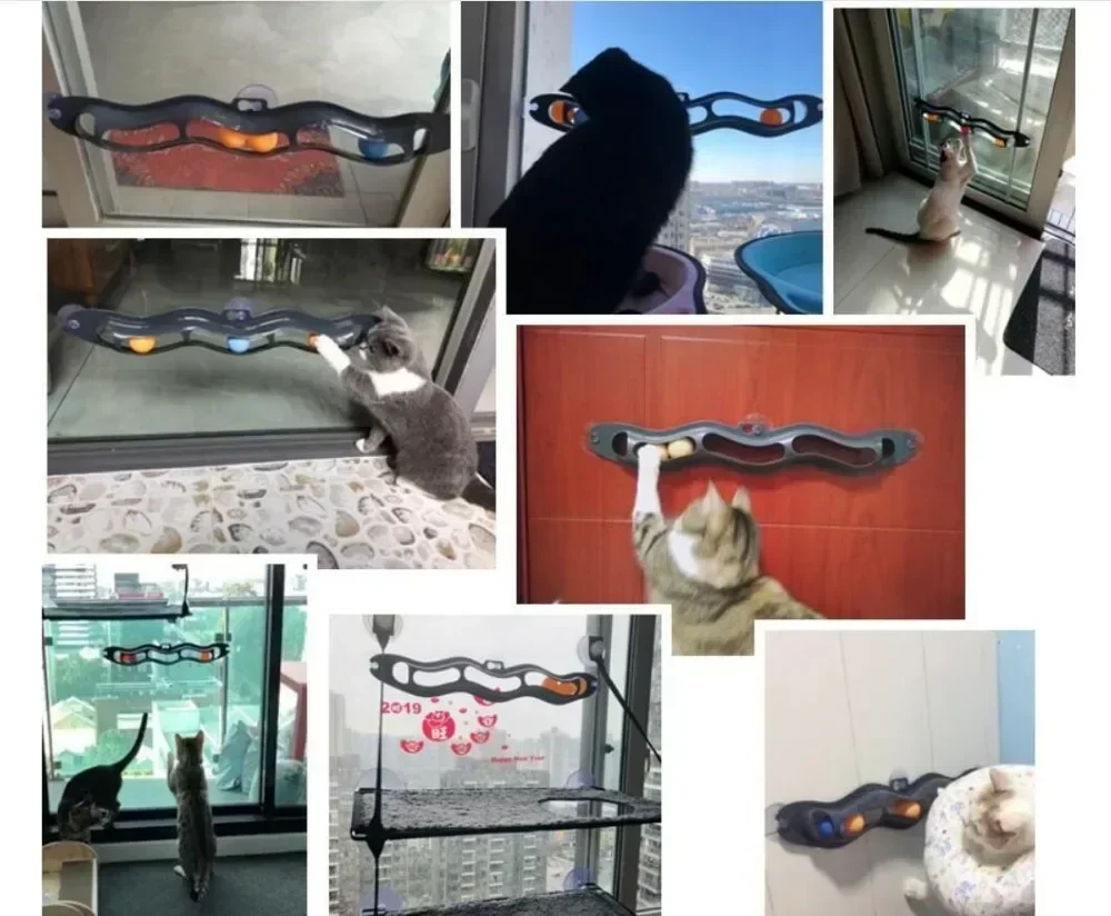 New Track Cat Toy Plastic Sucker Track Ball Pet Accessories Window Table Tennis Adsorption Glass Cat Toy Funny Cat Toys Pet Toys - Image 3