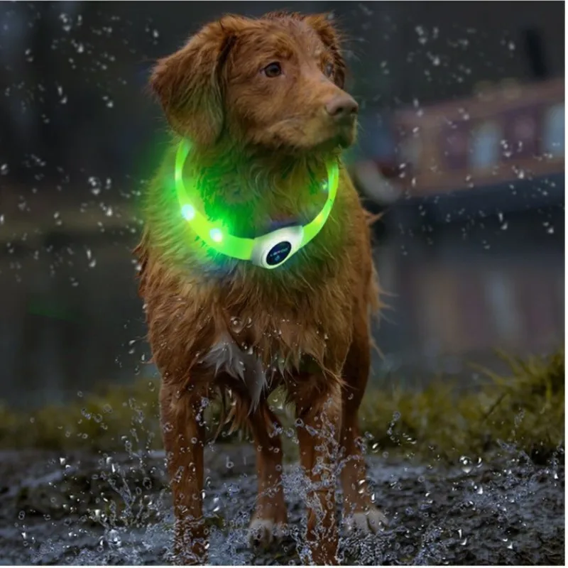 New Led Luminous Dog Collar PVC Waterproof , For Large Medium Small Dogs Collar Usb Light Night Safety Pet Glowing Accessories - Image 6