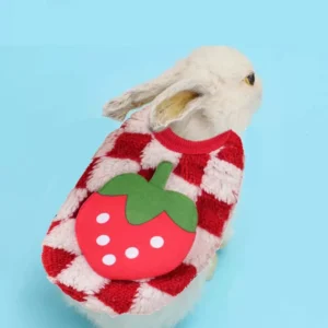 Winter Bunny Kitten Sweater Warm Fleece Small Animal Pullover Fruit Print Rabbit Guinea Pig Chinchillas Jacket Mascotas Clothing