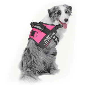 Harness For Dogs Breathable Adjustable Dog Vest Harness Pet NO PULL Vest Reflective For Medium Large Dog With Name Collar Patch