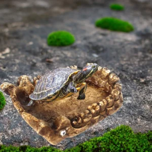 Reptile Feeding Bowl Resin Decorations Bathing Bowl Turtle Bath Terrarium Plate for Frogs Chameleon Pet Supplies Lizards Gecko