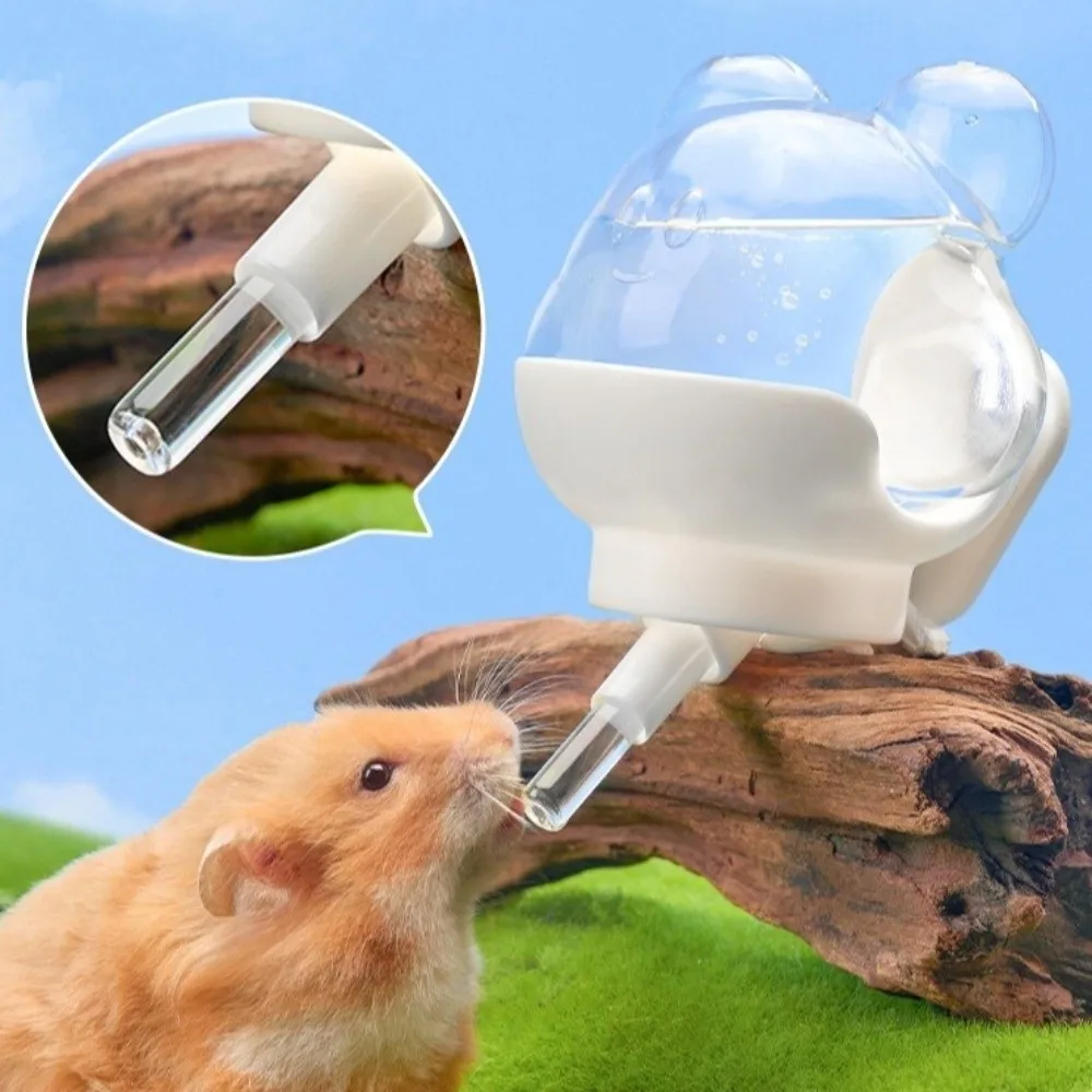 Prevent Dripping Hamster Magnetic Kettle Automatic Wall Mounted Pet Water Dispenser Magnetic Rack 220ml Vacuum Water Feeder