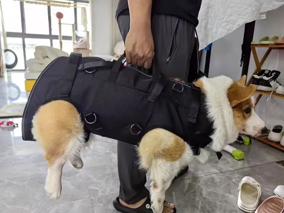 Pet Travel Backpack(3 sizes) Shoulder Carrier Outdoor Hiking Walking Durable Comfortable Oxford Fabric Dog/Cat Carrier - Image 2