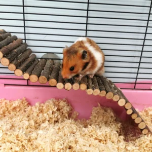 Wooden Bridge 50X8Cm Pet Hanging Bridge Chewing For Hamster Small Pet Climbing Ladder Playground Durable Odor Resistant