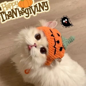 Creative Knitted Pumpkin Ghost Ruffle Pet Hat Halloween Handmade Knitted Dog and Cat Headwear Neck Warmer Decoration