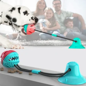 Pet supplies teething toy leak-proof feeder chew ball suction cup dog toy