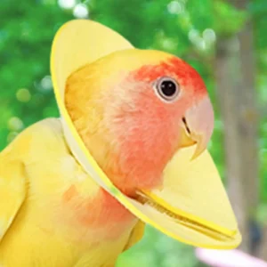 Soft Bird Collars Breathable Bird Elizabethan Collar Comfortable Soft Neck Collar Protective Cone Collar for Cockatiel