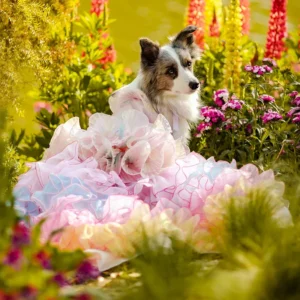 Luxury Handmade Princess Dog Dress | Pearl Sequin Starfish Skirt with Adjustable Bow | Small-Medium Poodle/Yorkie Party Clothes