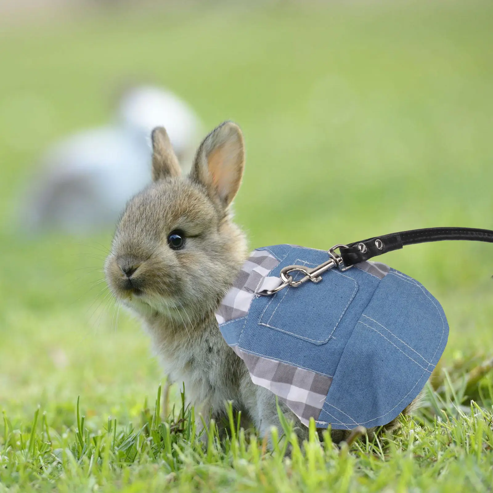 1Set Rabbit Clothes with Traction Rope Comfortable Breathable Pet Outdoor Walking Accessory for Small Rabbits Bunny Costume - Image 5