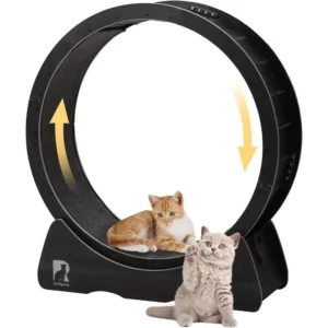 Indoor 43 Cat Exercise Wheel, Silent Running Track with Safety Lock, Sturdy Non-Tip Treadmill for Cats up to 55 lbs
