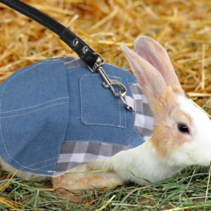 1Set Rabbit Clothes with Traction Rope Comfortable Breathable Pet Outdoor Walking Accessory for Small Rabbits Bunny Costume
