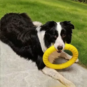 Dog Flying Disc, Flyer Dog Toy for Outdoor Indoor Fun, Dog Ring Toys Indestructible Chewing Flying Floating Training Tools