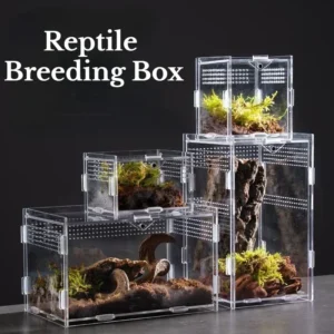 Transparent Acrylic Reptile Terrarium Breeding Box Turtle Cage Nano Arboreal Tarantula Enclosure Dearded Dragon Reptiles Habitat
