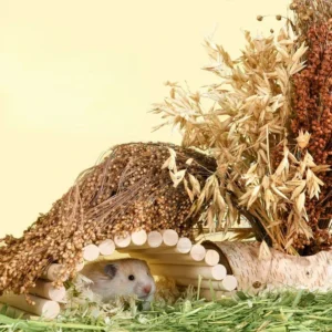 Hamster Grain Snack Pet Tooth Grinding Stick Decorative Landscaping Supplies