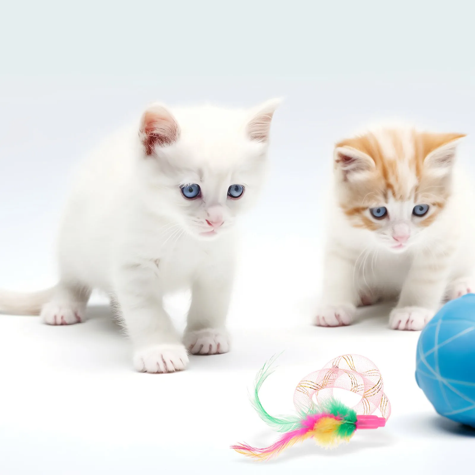 10Pcs Feather Cat Spring Plastic Spring Cat Play Set Bright Color Exercise Supplies Random Color Healthy Fun Gift - Image 4