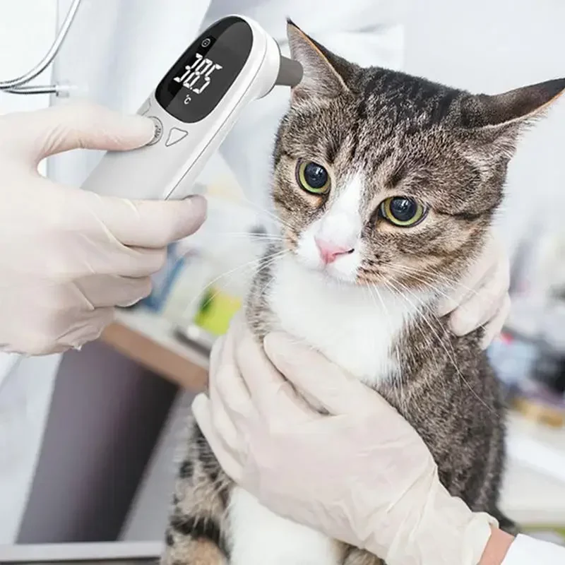 Pet Dog Cat Ear Digital Thermometer For Cats Animal Measuring, Non-Contact Electronic Animal Thermometers For Home Clinic Use